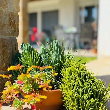 Villa Dimis Luxury